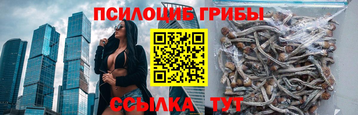 Бийск  купить закладку  Вход с VPN  Галлюциногенные грибы ЛСД 